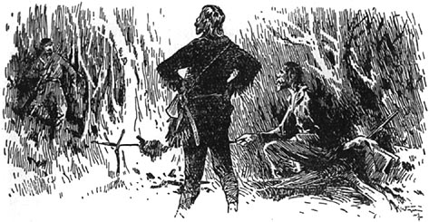 Book illustration