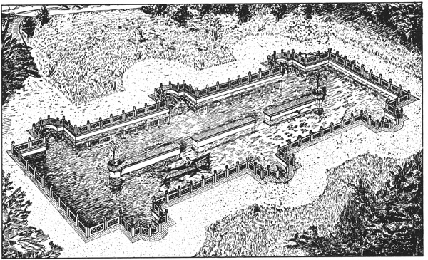 Book illustration