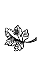 Book illustration