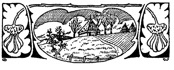 Book illustration