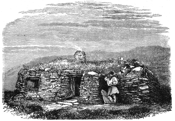 Book illustration