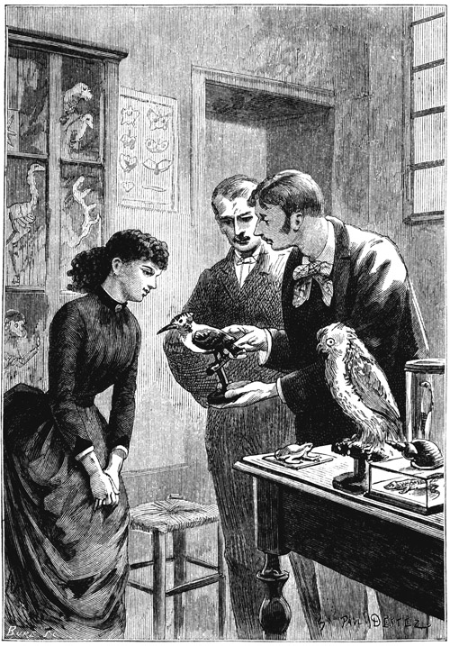 Book illustration