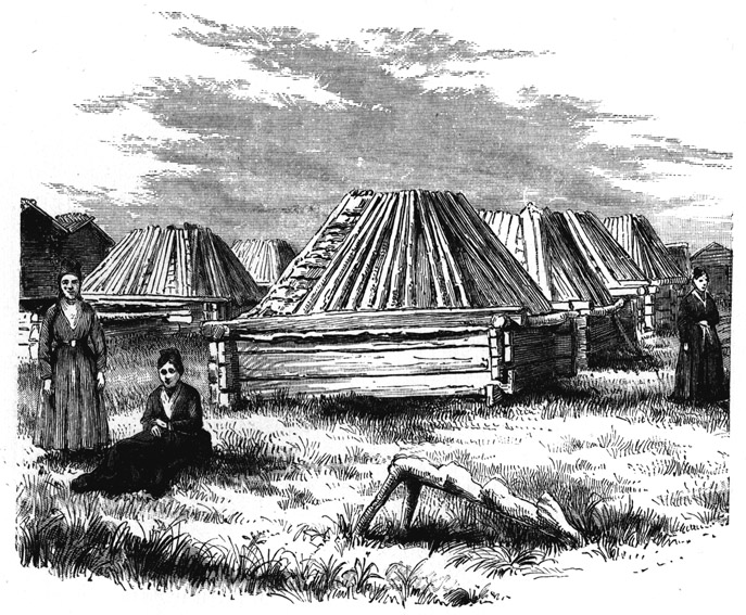 Book illustration