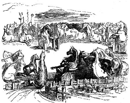 Book illustration
