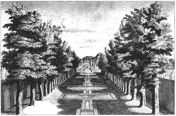Book illustration
