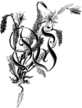 Book illustration