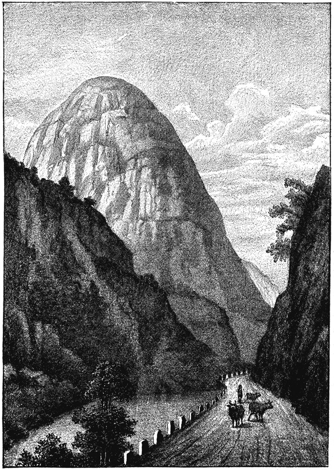 Book illustration