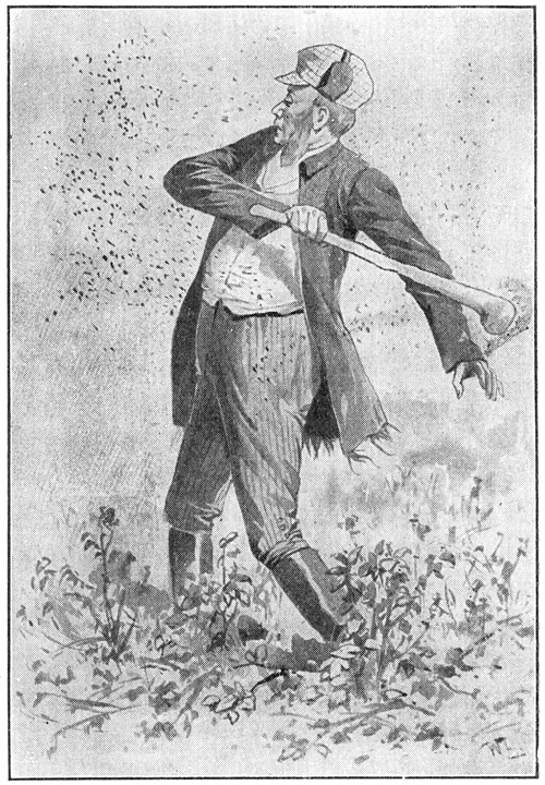 Book illustration