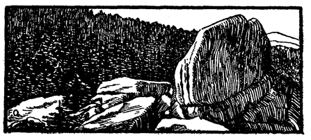 Book illustration