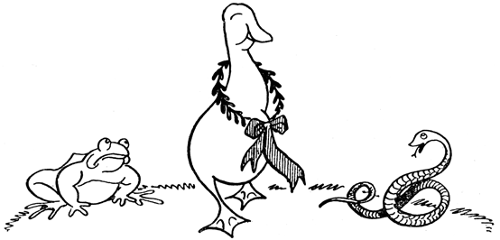 Book illustration