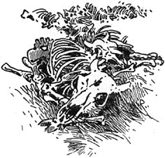 Book illustration