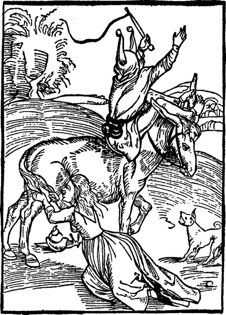 Book illustration