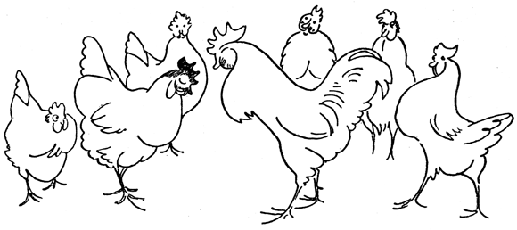 Book illustration