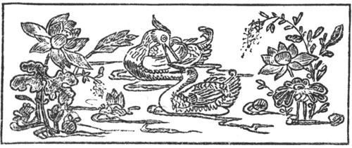 Book illustration