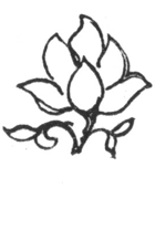 Book illustration