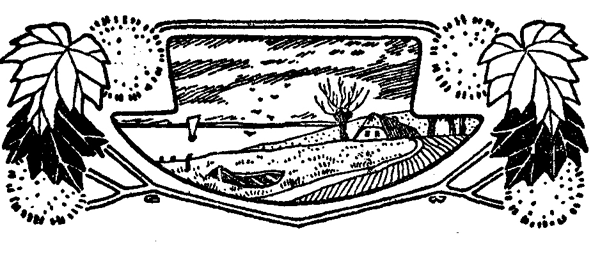 Book illustration