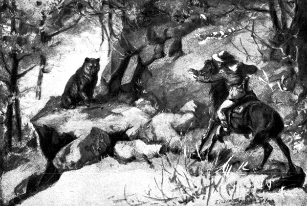 Book illustration