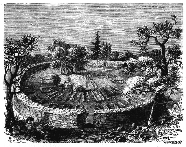 Book illustration