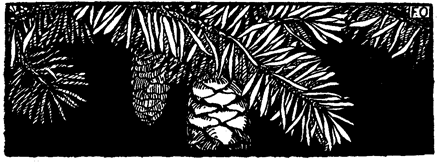 Book illustration