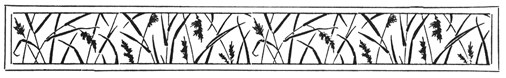 Book illustration