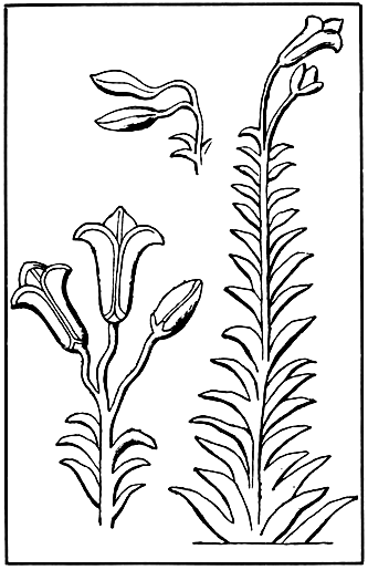 Book illustration