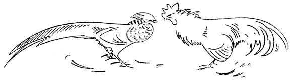 Book illustration