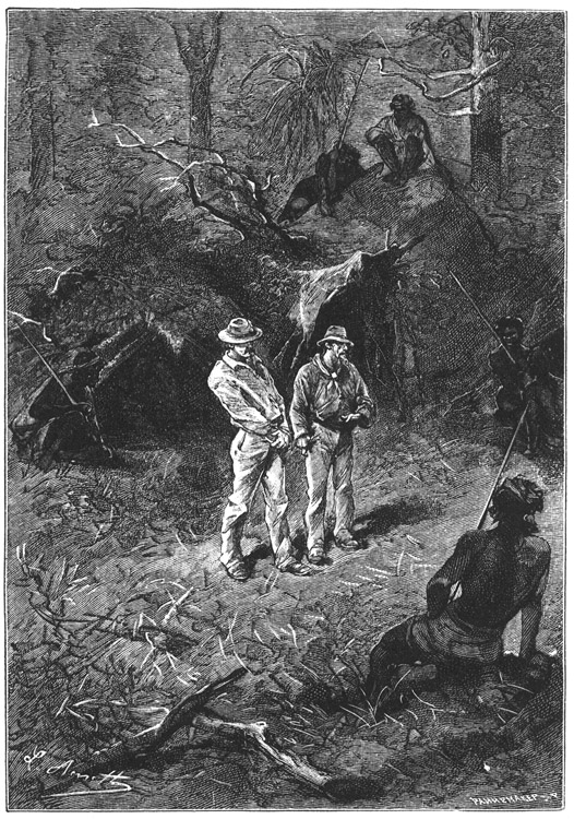 Book illustration