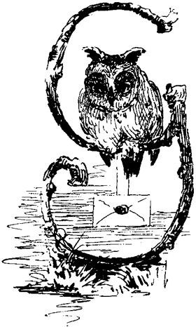 Book illustration