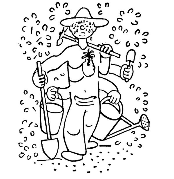 Book illustration