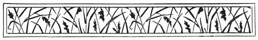 Book illustration