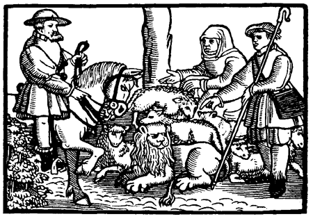 Book illustration