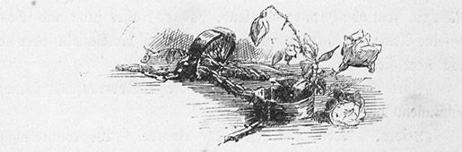 Book illustration