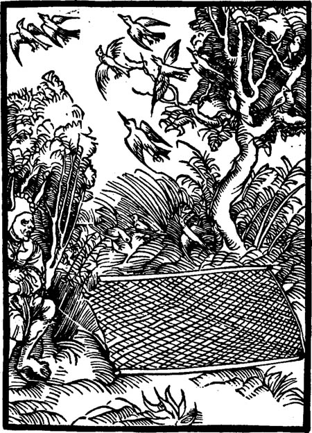 Book illustration