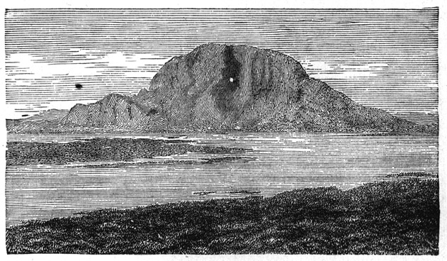 Book illustration