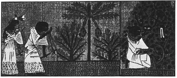 Book illustration