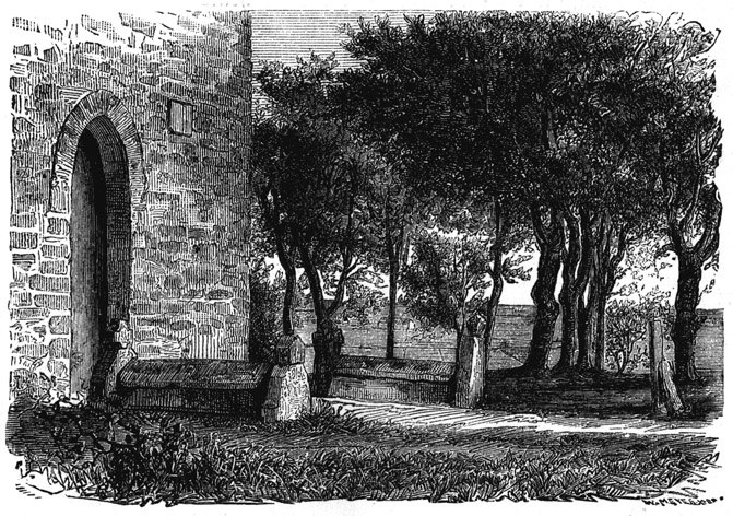 Book illustration