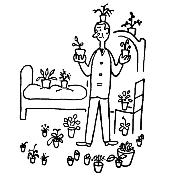 Book illustration