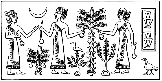 Book illustration