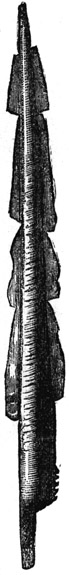 Book illustration