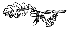 Book illustration