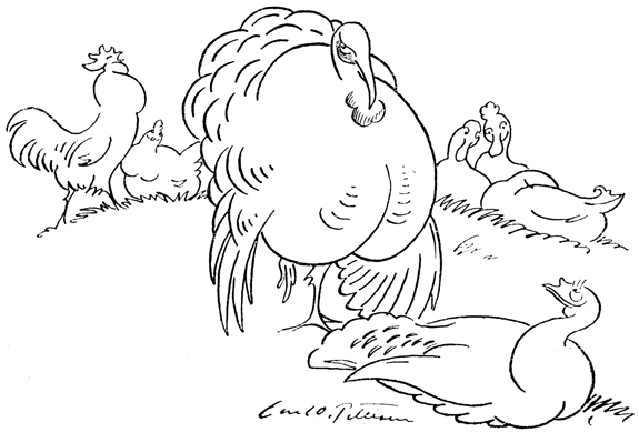Book illustration