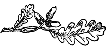 Book illustration