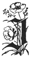 Book illustration