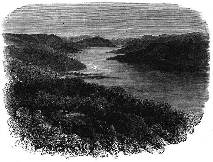 Book illustration