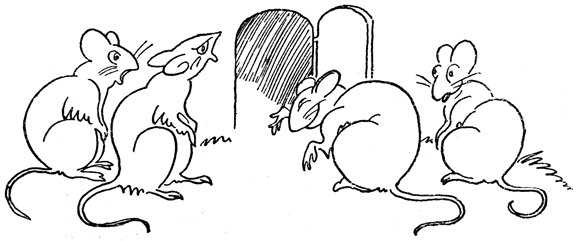 Book illustration