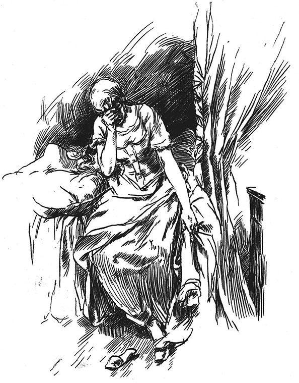 Book illustration