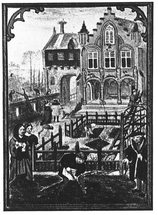 Book illustration