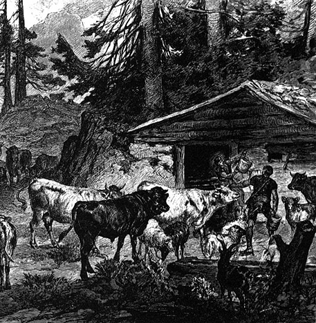 Book illustration