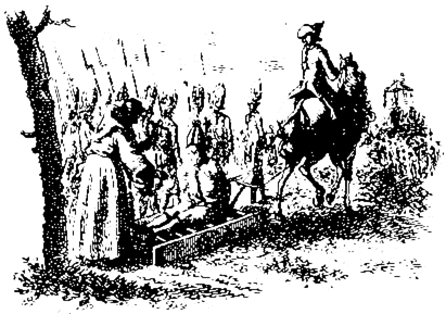 Book illustration