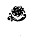 Book illustration